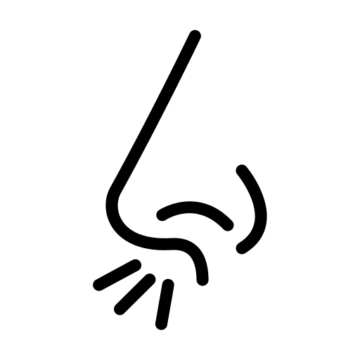 Icon Khám mũi